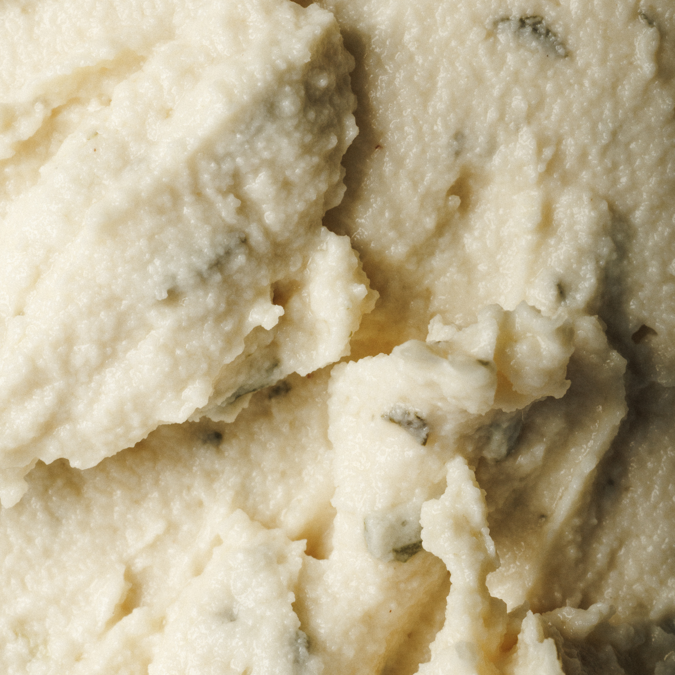Queijo Vegan "Cremoso de Alho e Ervas" 1
